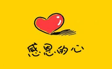 感恩老师演讲稿最新7篇