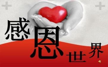 感恩主题演讲稿800字6篇