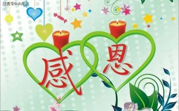 我感激你作文500字8篇