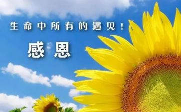 我真感谢您作文7篇