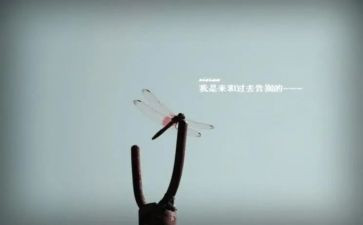 告别2024的作文优秀5篇