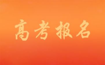 器高考作文800字优质6篇