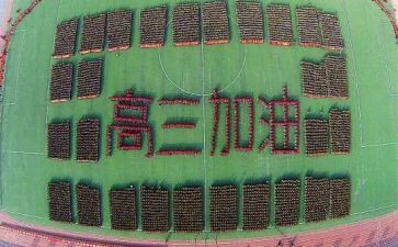 提高三力心得体会5篇