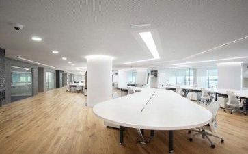 公司个人总结报告模板7篇