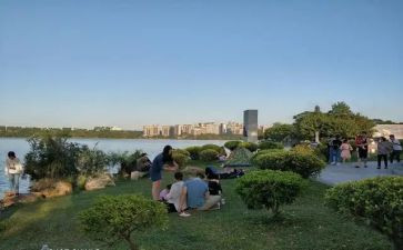 去公园作文800字6篇