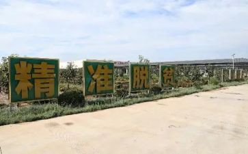 致富女能手的事迹材料5篇