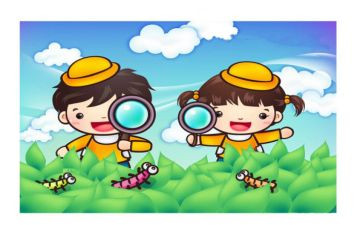 观察蚂蚁作文300字优秀8篇