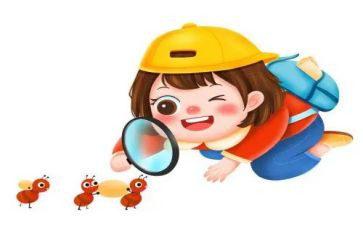 观察书的作文300字最新6篇