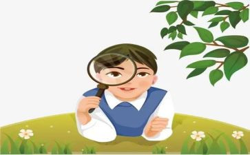 纸的观察教案6篇