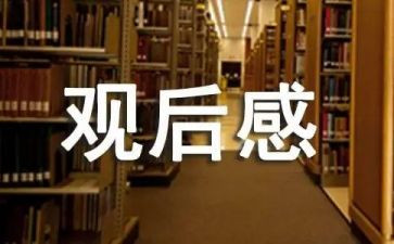 观看警示观后感5篇