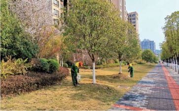 2024年主管护士述职报告6篇