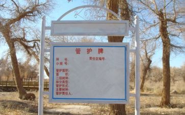 主管护师个人总结8篇