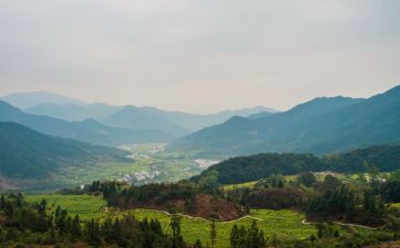 观看岭心得体会优秀8篇