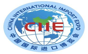 国际志愿日活动总结8篇