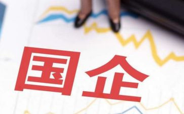 国企个人年度总结8篇