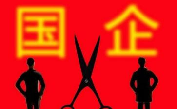 国企试用期工作总结8篇
