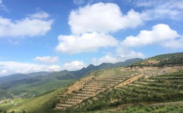 国土所年终工作总结范文8篇