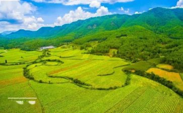 国土所述职报告7篇