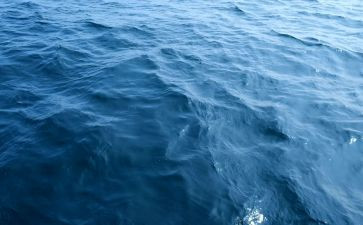 海练个人总结6篇
