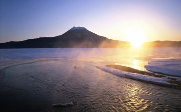 上海五一节活动方案5篇