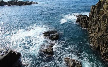 海苔加工实习报告5篇