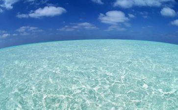 海训期间思想汇报7篇