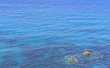 海魂心得体会范文精选7篇