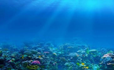 海底二万里的读后感5篇