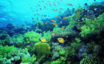 海底2万里读后心得体会7篇