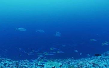 读《海底两万里》心得最新6篇