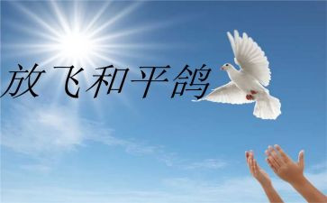 战争与和平的读后感500字6篇