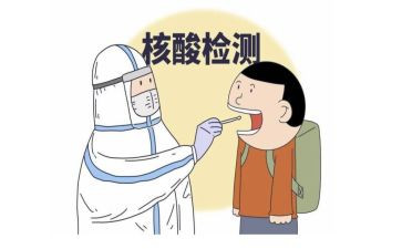 测核酸先进事迹模板8篇