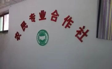 合作社年工作总结6篇