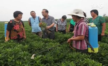 申请合作社申请书8篇