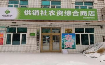合作社合同8篇