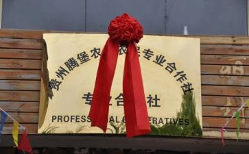 农民合作社调研报告7篇