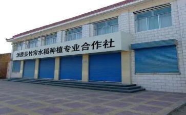 专业合作社工作总结7篇