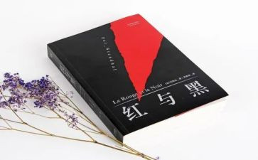 红与黑,读后感优秀6篇