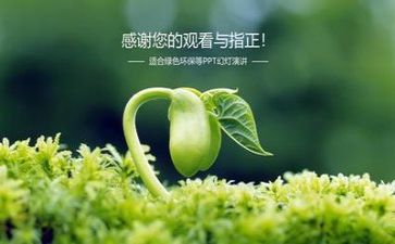 有关环保的调查报告5篇
