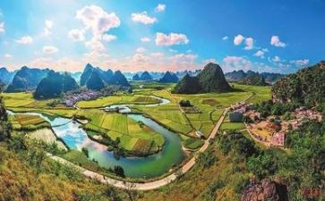 对环境的调查报告7篇