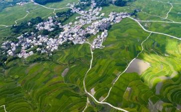 软环境自查报告5篇