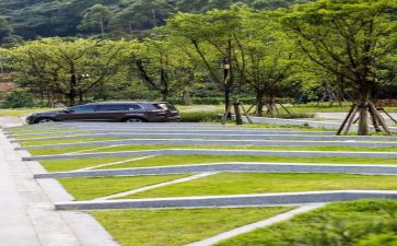 关于调查环境的调查报告7篇