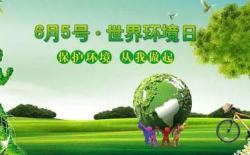 2024年六五环境日宣传活动总结8篇