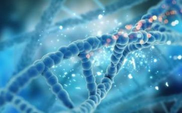 物化生组工作计划6篇