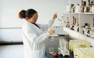 化验工作总结推荐8篇