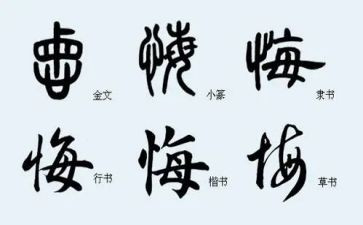 青春不悔演讲稿8篇