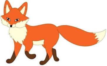 猫和狐狸的读后感通用8篇