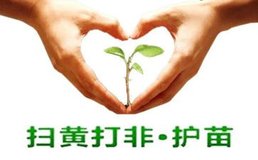 护苗行动的心得体会精选8篇