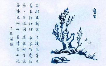 保护生鸡蛋的作文7篇