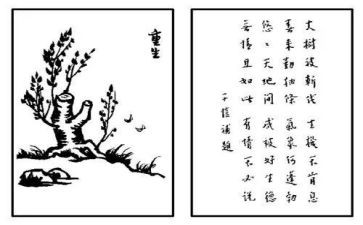保护生态环境的活动方案5篇